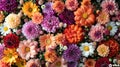 Handmade Chrysanthemum Flower Wall - Vibrant Wedding Decoration with Red, Orange, Pink, Purple, Green and White Blooms