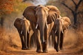 A stunning herd of elephants grazing in the vast african savannah, wildlife safari adventure Royalty Free Stock Photo