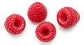 Fresh red raspberries isolated on a white background Royalty Free Stock Photo