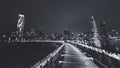 A greyscale night view of the District Shenzhen Bay, Houhai District Royalty Free Stock Photo
