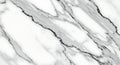 Elegant White Marble Texture with Dramatic Black Veins Royalty Free Stock Photo