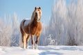A stunning horse stands in a snowy forest, creating a picturesque winter background Royalty Free Stock Photo