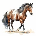 Detailed Dappled Horse Watercolor Clipart For Digital Painting And Paper Crafting