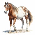 Detailed Dappled Horse Watercolor Clipart For Digital Painting And Paper Crafting