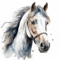 Detailed Dappled Horse Watercolor Clipart For Digital Painting And Paper Crafting