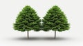 Stunning hyperrealistic image of Eastern Hemlock trees, showcasing intricate details with a clean background for versatility