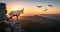 Alpine Ibex Silhouette at Sunset with Majestic Mountain Views and Eagle Birds Royalty Free Stock Photo
