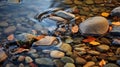 Award-winning Hdr Photography: Bay Stream With Small River Stones In Fall