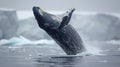 Arctic Majesty: Majestic Whale Breaching Through Icy Waters