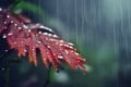 Leafy Elegance: A Close-Up Symphony of Raindrops Adorning a Leaf.