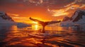 Antarctic Sunset: Humpback Whale Tail Fluke Silhouetted in Waters