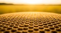 Close up view of golden honeycomb under warm light Royalty Free Stock Photo