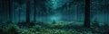 Mystical Black Forest Night: Fir, Spruce, & Blueberry on Dark Background