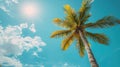 Idyllic Coconut Palm Tree against Clear Blue Sky Backdrop Royalty Free Stock Photo