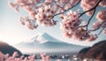 Cherry Blossoms in Full Bloom with Mount Fuji in the Background, Springtime in Japan Royalty Free Stock Photo