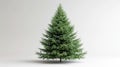 Sparkling Christmas Tree on White Background - Festive Holiday Decoration Royalty Free Stock Photo
