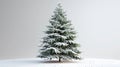 Sparkling Christmas Tree on White Background - Festive Holiday Decoration Royalty Free Stock Photo