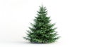 Sparkling Christmas Tree on White Background - Festive Holiday Decoration Royalty Free Stock Photo