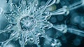 A stunning image of a microscopic diatom its intricate silica shell resembling a delicate snowflake. These tiny algae Royalty Free Stock Photo