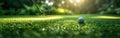 Green Meadow Golf Club and Ball Equipment on Lush Grass - Banner Background Royalty Free Stock Photo