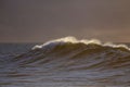 Stunning image of a sun-drenched beach with an imposing wave