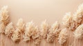 Monochrome Beauty: Minimalistic Pattern of Dry Pampas Grass Reeds on Beige Background with Neutral Colors and Copy Space