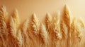 Monochrome Beauty: Minimalistic Pattern of Dry Pampas Grass Reeds on Beige Background with Neutral Colors and Copy Space