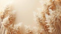 Monochrome Beauty: Minimalistic Pattern of Dry Pampas Grass Reeds on Beige Background with Neutral Colors and Copy Space