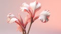 Delicate Canna Flower Sculpture On Pink Gradient Background