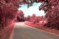 Stunning infrared view on purple fantasy landscapes with some ashpalt roads