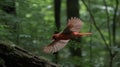 Stunning 8k 3d Cardinalis In Flight: Raw Vulnerability Captured In Observational Photography