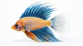 Intricate Whimsical Siamese Fighting Fish Art On White Background