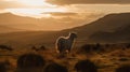 Stunning 8k Sunset Animal Hyper-detail In Peru Grassland Royalty Free Stock Photo