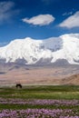 Stunning Karakorum landscape Royalty Free Stock Photo