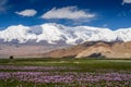 Stunning Karakorum landscape Royalty Free Stock Photo