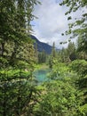 Stunning lake in Hyder, trees blue green beautiful mountains Alaska