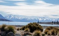 Stunning lake view in New Zealand Royalty Free Stock Photo