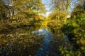 A stunning lakeland scene at Wakehurst Place, West Sussex, England Royalty Free Stock Photo