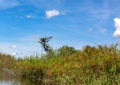 Stunning landcape at the Bwabwata-Nationalpark in northern Namibia