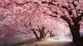 A stunning landscape adorned with the soft pink hues of cherry blossoms in full bloom.