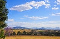 Stunning landscape cattle grazing fields, farms, blue sky, mountain range Royalty Free Stock Photo