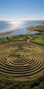 Grassy Field Maze: Traditional Oceanic Art Inspired By Land Art In Montauk