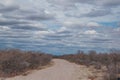 Stunning landscape featuring a long road surrounded by spindly, arid Prosopis tamarugo bushes Royalty Free Stock Photo