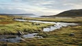 Grassy Landscape Flowing Into The Sea: A Captivating Photo By Scarlett Hooft Graafland