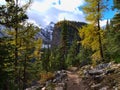 Stunning landscape with hiking trail between colorful trees in autumn leading to famous Big Beehive near Lake Louise, Canada.