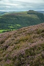 Stunning landscape image of Bamford Edge in Peak District National Park during late Summer with heather in full blom Royalty Free Stock Photo