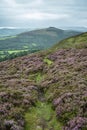 Stunning landscape image of Bamford Edge in Peak District National Park during late Summer with heather in full blom Royalty Free Stock Photo