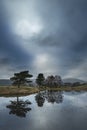 Stunning landscape image of dramatic storm clouds over Kelly Hall Tarn in Lake District during late Autumn Fall afternoon Royalty Free Stock Photo