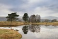 Stunning landscape image of dramatic storm clouds over Kelly Hall Tarn in Lake District during late Autumn Fall afternoon Royalty Free Stock Photo