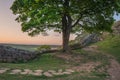 Beautiful landscape image of Sycamore Gap at Hadrian`s Wall in N